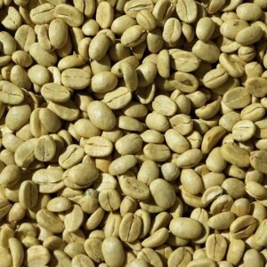 Arabica- Coffee bean